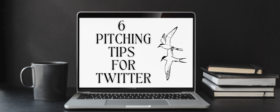 TOP 6 PITCHING TIPS FOR TWITTER